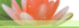 88x31 button: 4465 images bupgban