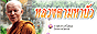 88x31 button: 4465 images lutaban
