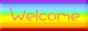 88x31 button: 91