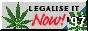 88x31 button: Academy HASH NOW