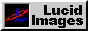 88x31 button: Academy lucid