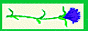88x31 button: Acres animwren