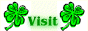 88x31 button: Acres irish