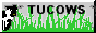 88x31 button: Aegean Links tucows