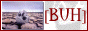 88x31 button: Alley buhbutton3