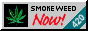 88x31 button: Andes netscape