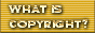 88x31 button: Area51 Capsule copyrightgold1
