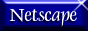 88x31 button: Area51 Chamber netbutn