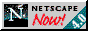88x31 button: Area51 Dunes netscape4