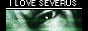 88x31 button: Area51 Dunes snape