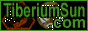 88x31 button: Area51 Nebula newbutton