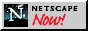 88x31 button: Area51 Vault netscape