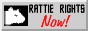 88x31 button: Area51 Zone ratnow