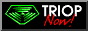 88x31 button: Area51 Zone trismall