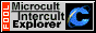 88x31 button: Area51 ie intercult