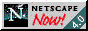 88x31 button: Area51 pics netscp30