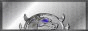88x31 button: Arena mkebutton