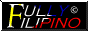 88x31 button: Augusta pride fully