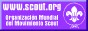 88x31 button: Baja Desert besucona wosm