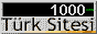 88x31 button: Baja Ravine Turk