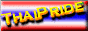 88x31 button: Baja Ravine thaipridelogo