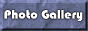 88x31 button: Bay Gallery