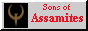 88x31 button: Bay assnow