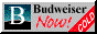 88x31 button: Bay bud