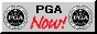88x31 button: Bay pganow