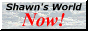 88x31 button: Bay sannow