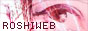 88x31 button: Birdland roshiweb
