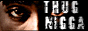 88x31 button: Birdland tn