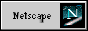 88x31 button: Bit netscape