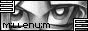 88x31 button: Blossom MillenniumB1