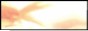 88x31 button: Blossom button ban fish