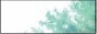 88x31 button: Blossom button green