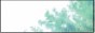 88x31 button: Blossom button green