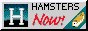 88x31 button: Bookstore hamnow