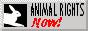 88x31 button: Breakers animal