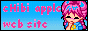 88x31 button: Bridge bgchick