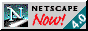 88x31 button: Bridge getnetscape