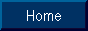 88x31 button: Bridge home