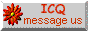 88x31 button: Bridge icq msg
