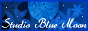 88x31 button: Bridge studio