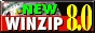 88x31 button: Bridge winzip