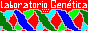 88x31 button: Campus logos Exb20
