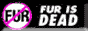 88x31 button: Canopy furisdead