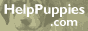 88x31 button: Canopy puppies