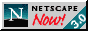 88x31 button: CapeCanaveral netscape