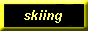 88x31 button: Center skibutton